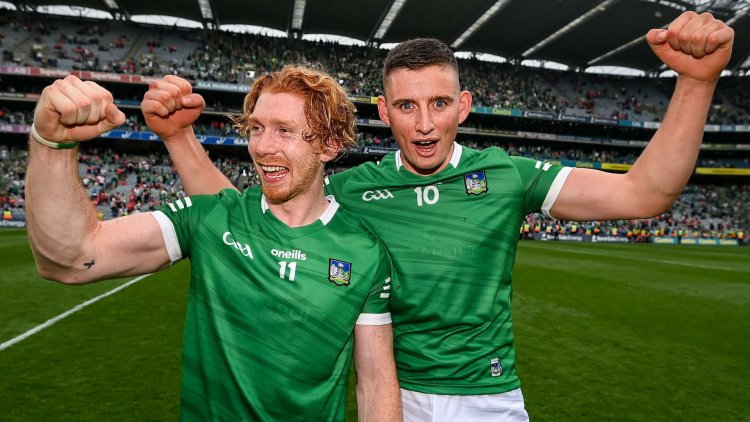 Limerick win record haul of All-Stars; No awards for Cork